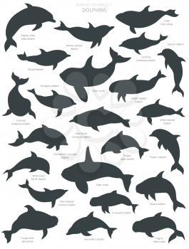 Dolphins silhouettes set. Marine mammals collection. Cartoon flat style design. Vector illustration