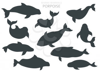 Marine mammals collection. Different porpoises set. Cartoon flat style design. Vector illustration