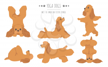 Yoga dogs poses and exercises poster design. American cocker spaniel clipart. Vector illustration