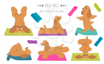 Yoga dogs poses and exercises poster design. American cocker spaniel clipart. Vector illustration