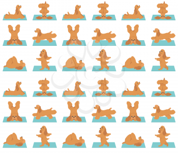 Yoga dogs poses and exercises seamless pattern design. American cocker spaniel clipart. Vector illustration