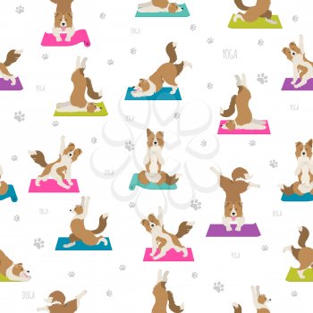 Yoga dogs poses and exercises seamless pattern design. Border collie clipart. Vector illustration