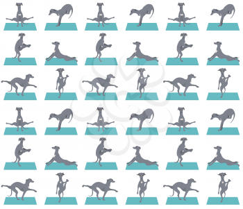 Yoga dogs poses and exercises seamless pattern design. Italian greyhound  clipart. Vector illustration
