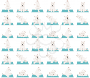 Yoga dogs poses and exercises seamless pattern design. West Highland White Terrier clipart. Vector illustration