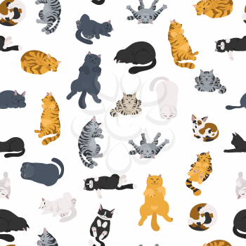 Sleeping cats poses seamless pattern. Flat different color simple style design. Vector illustration