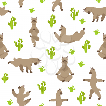 Camelids family collection. Alpaca yoga graphic design. Vector illustration