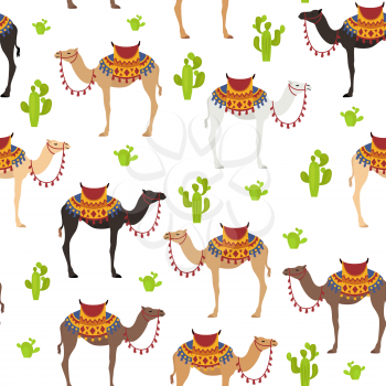 Camelids family collection. Dromedary camel seamless design. Vector illustration