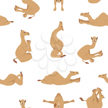 Camelids family collection. Dromedary camel yoga seamless design. Vector illustration