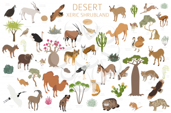 Desert biome, xeric shrubland biome, natural region infographic. Terrestrial ecosystem world map. Animals, birds and vegetations isometric design set. Vector illustration