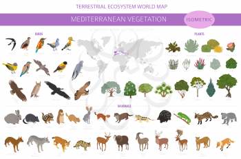 Mediterranean vegetation biome, natural region infographic. Terrestrial ecosystem world map. Animals, birds and vegetations isometric design set. Vector illustration