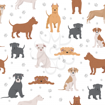 American pit bull terrier dogs set. Color varieties, different poses. Seamless pattern. Vector illustration