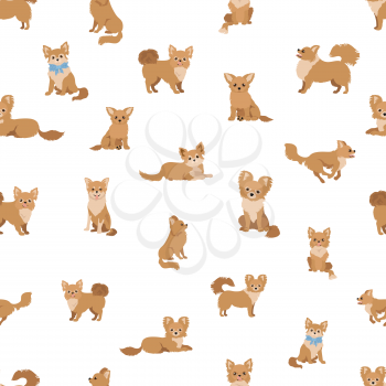 Chihuahua seamless pattern. Dog healthy silhouette and different poses background.  Vector illustration