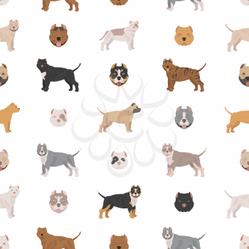 American bully dogs set. Color varieties, different poses. Seamless pattern. Vector illustration