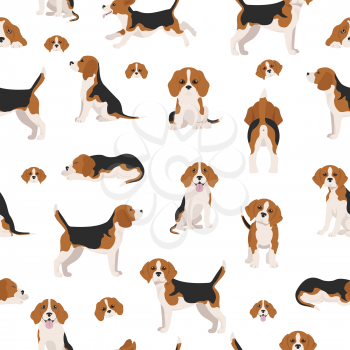 Beagle seamless pattern. Different poses, Beagle puppy.  Vector illustration
