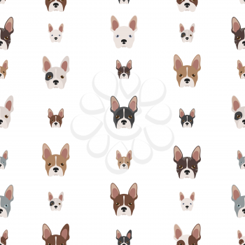 Boston terrier seamless pattern.  Vector illustration
