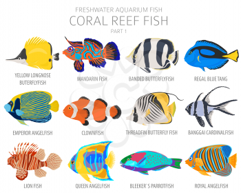 Coral reef fish. Freshwater aquarium fish icon set flat style isolated on white.  Vector illustration