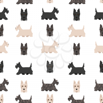 Scottish terrier dogs in different poses and coat colors. Adult and puppy scottie seamless pattern.  Vector illustration