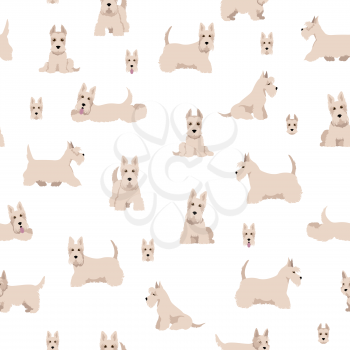 Scottish terrier dogs in different poses and coat colors. Adult and puppy scottie seamless pattern.  Vector illustration