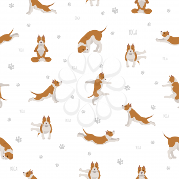 Yoga dogs poses and exercises poster design. American staffordshire terrier seamless pattern. Vector illustration