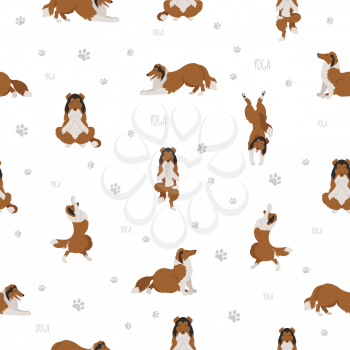 Yoga dogs poses and exercises. Rough collie yoga seamless pattern. Vector illustration