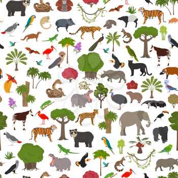 Tropical and subtropical rainforest biome, natural region seamless pattern. Amazonian, African, asian, australian rainforests. Animals, birds and vegetations ecosystem design set. Vector illustration