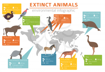 Global environmental problems. Biodiversiry loss infographic. Extinct animal and birds. Vector illustration