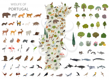 Flat design of Portugal wildlife. Animals, birds and plants constructor elements isolated on white set. Build your own geography infographics collection. Vector illustration