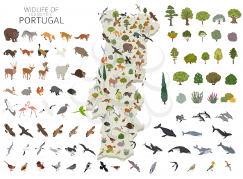 Isometric 3d design of Portugal wildlife. Animals, birds and plants constructor elements isolated on white set. Build your own geography infographics collection. Vector illustration
