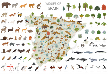 Flat design of Spain wildlife. Animals, birds and plants constructor elements isolated on white set. Build your own geography infographics collection. Vector illustration