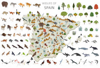 Isometric 3d design of Spain wildlife. Animals, birds and plants constructor elements isolated on white set. Build your own geography infographics collection. Vector illustration