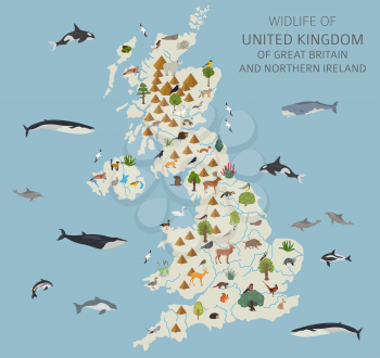 Flat design of United Kingdom wildlife. Animals, birds and plants constructor elements isolated on white set. Build your own geography infographics collection. Vector illustration