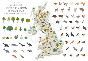 Isometric 3d design of United Kingdom wildlife. Animals, birds and plants constructor elements isolated on white set. Build your own geography infographics collection. Vector illustration