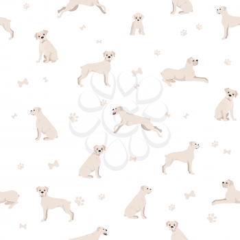 Boxer dog seamless pattern. Different poses, puppy.  Vector illustration
