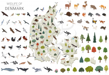 Isomatric 3d design of Denmark wildlife. Animals, birds and plants constructor elements isolated on white set. Build your own geography infographics collection. Vector illustration