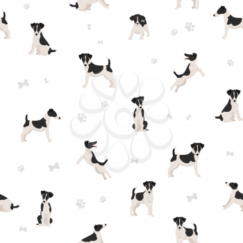 Smooth fox terrier seamless pattern. Different poses, puppy.  Vector illustration