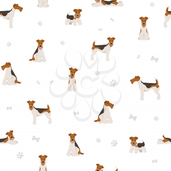 Wire fox terrier seamless pattern. Different poses, puppy.  Vector illustration