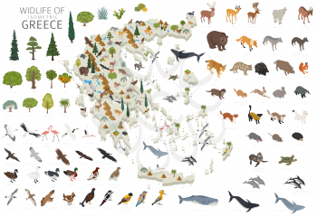 Isomatric 3d design of Greece wildlife. Animals, birds and plants constructor elements isolated on white set. Build your own geography infographics collection. Vector illustration