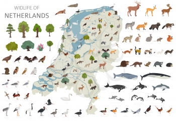 Flat design of Netherlands wildlife. Animals, birds and plants constructor elements isolated on white set. Build your own geography infographics collection. Vector illustration