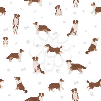 Australian shepherd dog seamless pattern. Different variations of coat color set.  Vector illustration