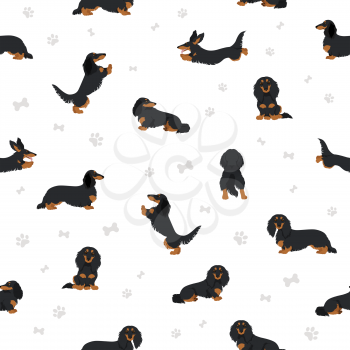 Dachshund long haired seamless pattern. Different poses, coat colors set.  Vector illustration