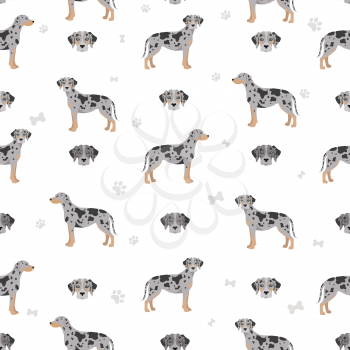 Catahoula leopard dog seamless pattern. Different poses, coat colors set.  Vector illustration