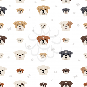 English bulldog seamless pattern. Different poses, coat colors set.  Vector illustration
