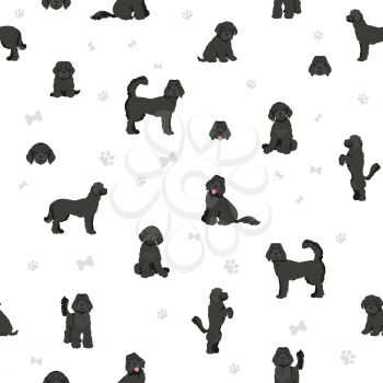 Labradoodle seamless pattern.  Different poses, coat colors set.  Vector illustration