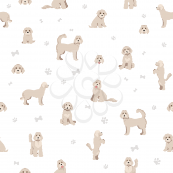 Labradoodle seamless pattern.  Different poses, coat colors set.  Vector illustration