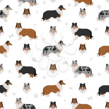 Rough collie clipart. Different poses, coat colors seamless pattern.  Vector illustration
