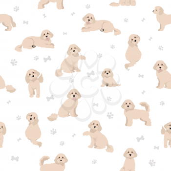 Cavapoo mix breed seamless pattern. Different poses, coat colors set.  Vector illustration