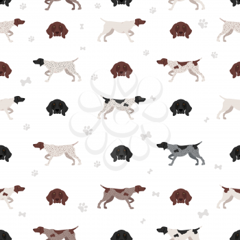 German shorthaired pointer seamless pattern. Different poses, coat colors set.  Vector illustration