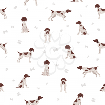 German shorthaired pointer seamless pattern. Different poses, coat colors set.  Vector illustration