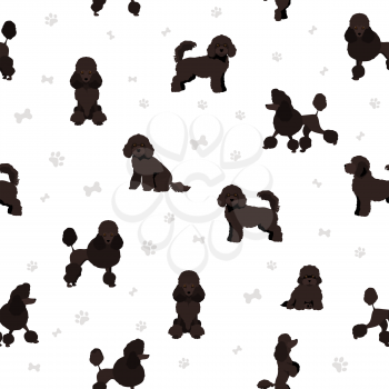 Miniature poodle clipart. Different poses, coat colors set.  Vector illustration