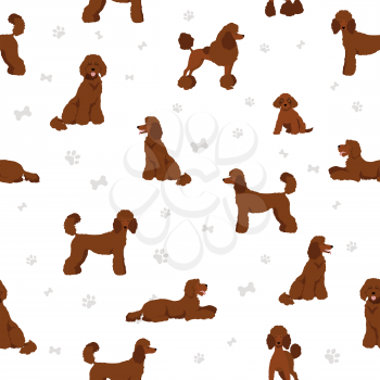 Standard poodle seamless pattern. Different poses, coat colors set.  Vector illustration